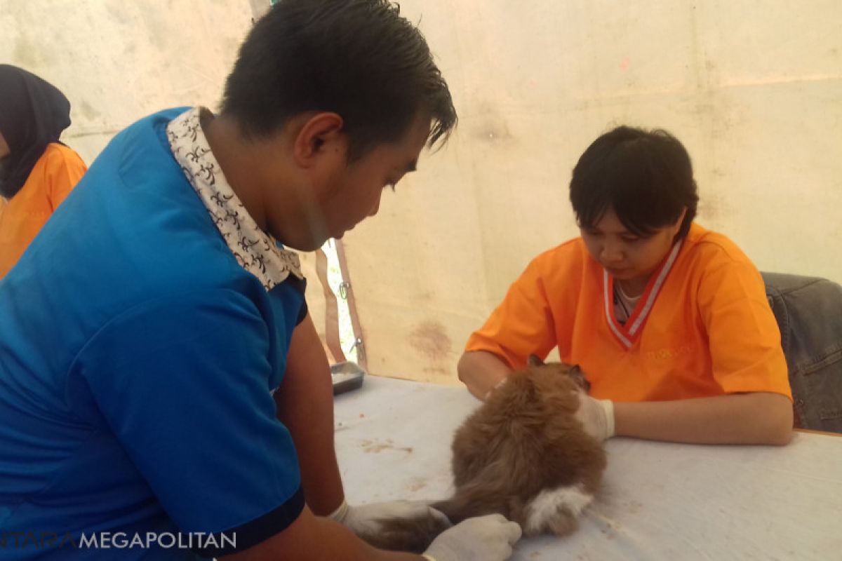 PDHI berikan vaksin rabies dan konsultasi gratis