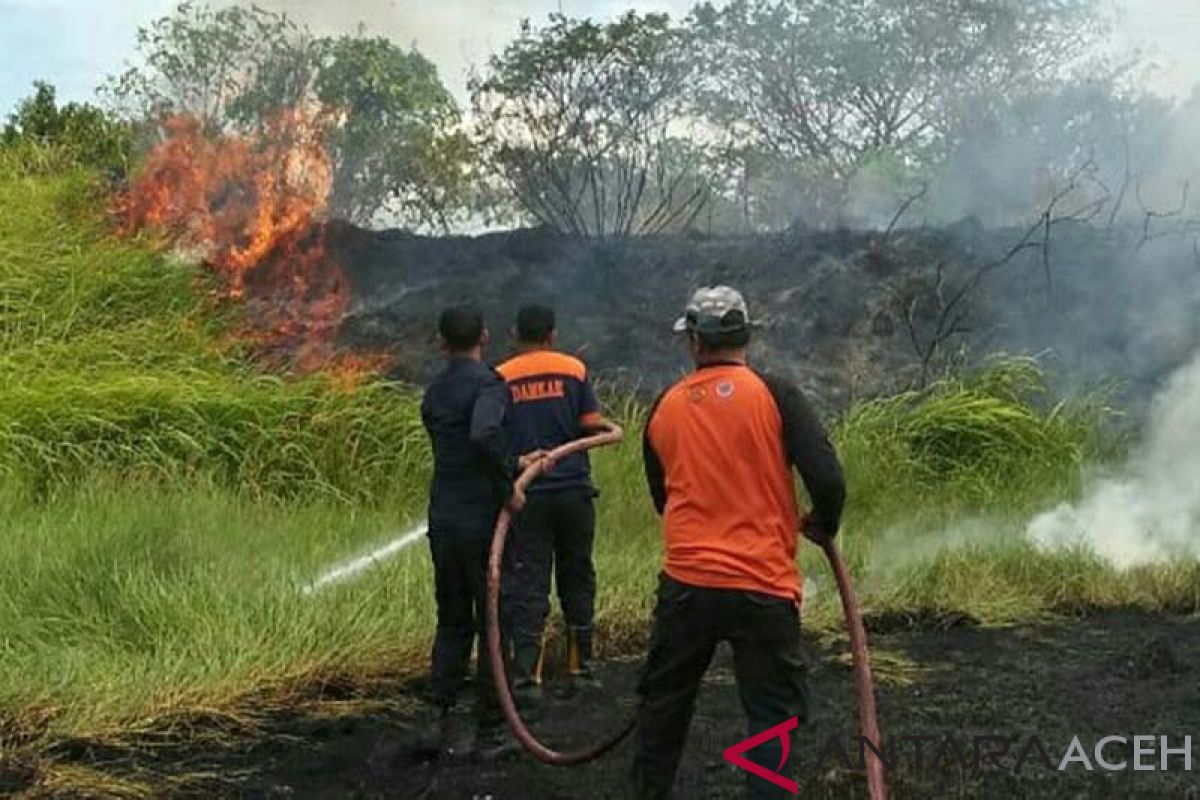 Sembilan unit damkar padamkan kebakaran lahan di Lhokseumawe