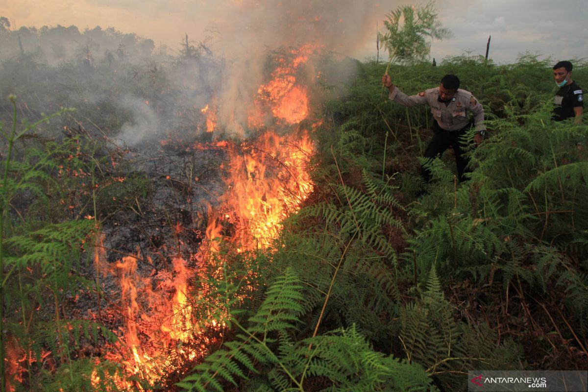 9 unit damkar padamkan kebakaran lahan di Lhokseumawe