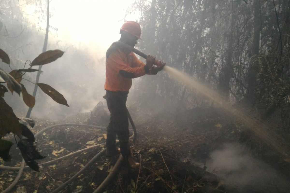 Manggala Agni Berjibaku Lawan Karhutla Rohil