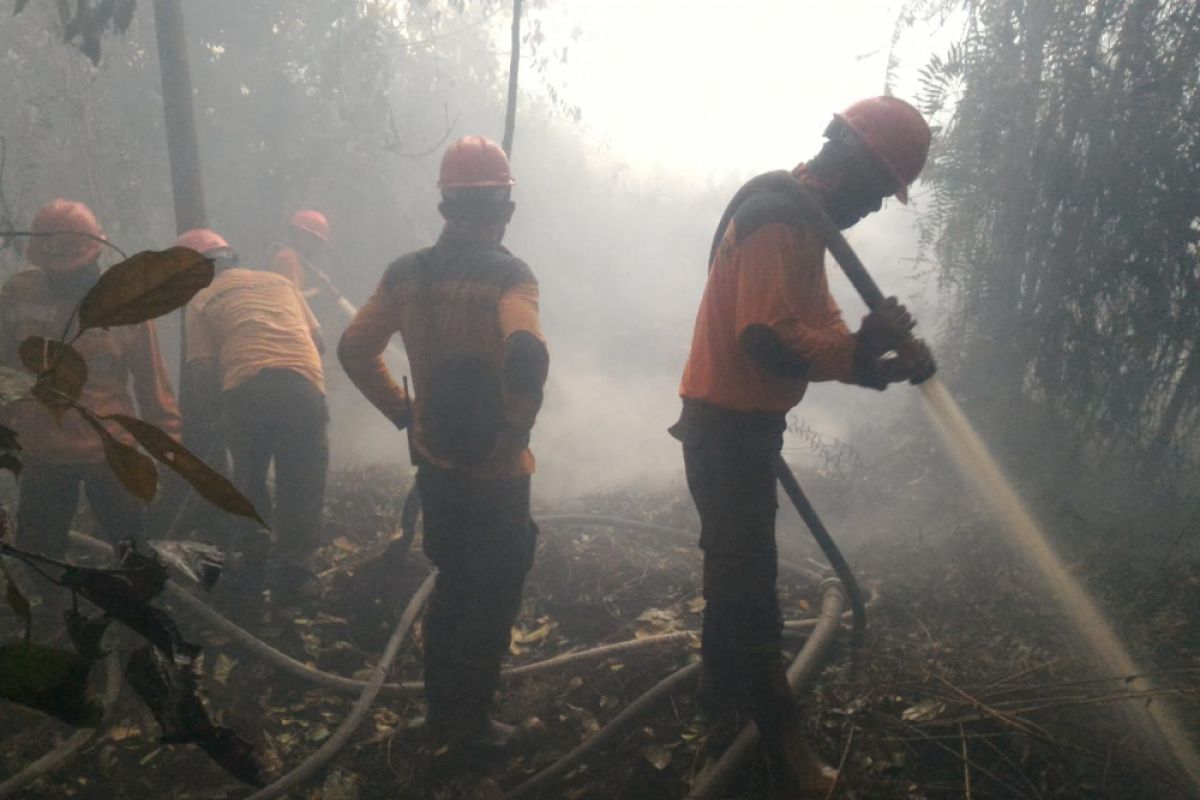 Hari Ini Penetapan Status untuk Penanganan Karhutla Riau