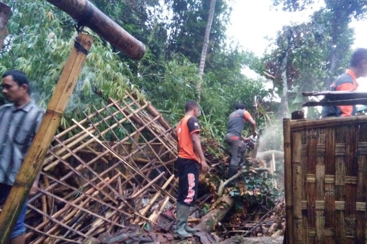 Tiga Kecamatan di Lumajang Diterjang Angin Kencang