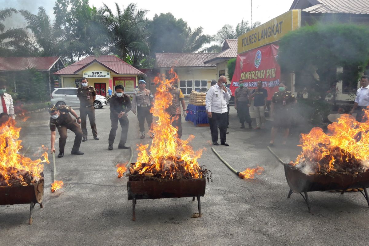 Polres Langkat bakar 220 kilogram ganja