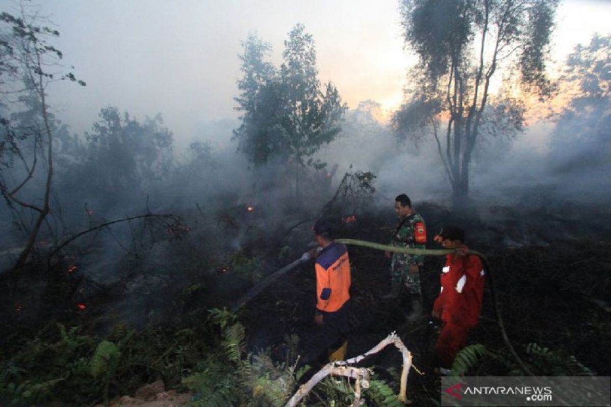 Jikalahari: titik panas terdeteksi di 13 area perusahaan di Riau