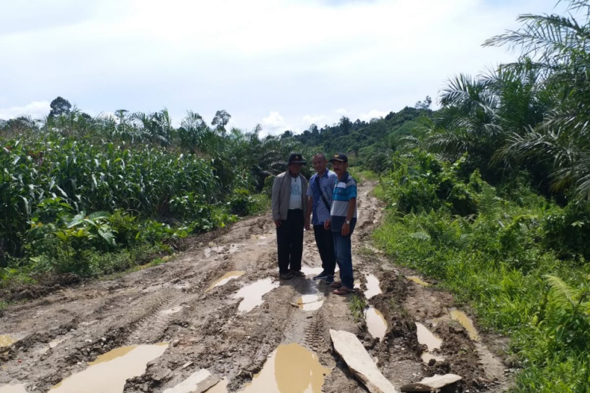 Pembangunan jalan wilayah terpencil Donggala mendesak