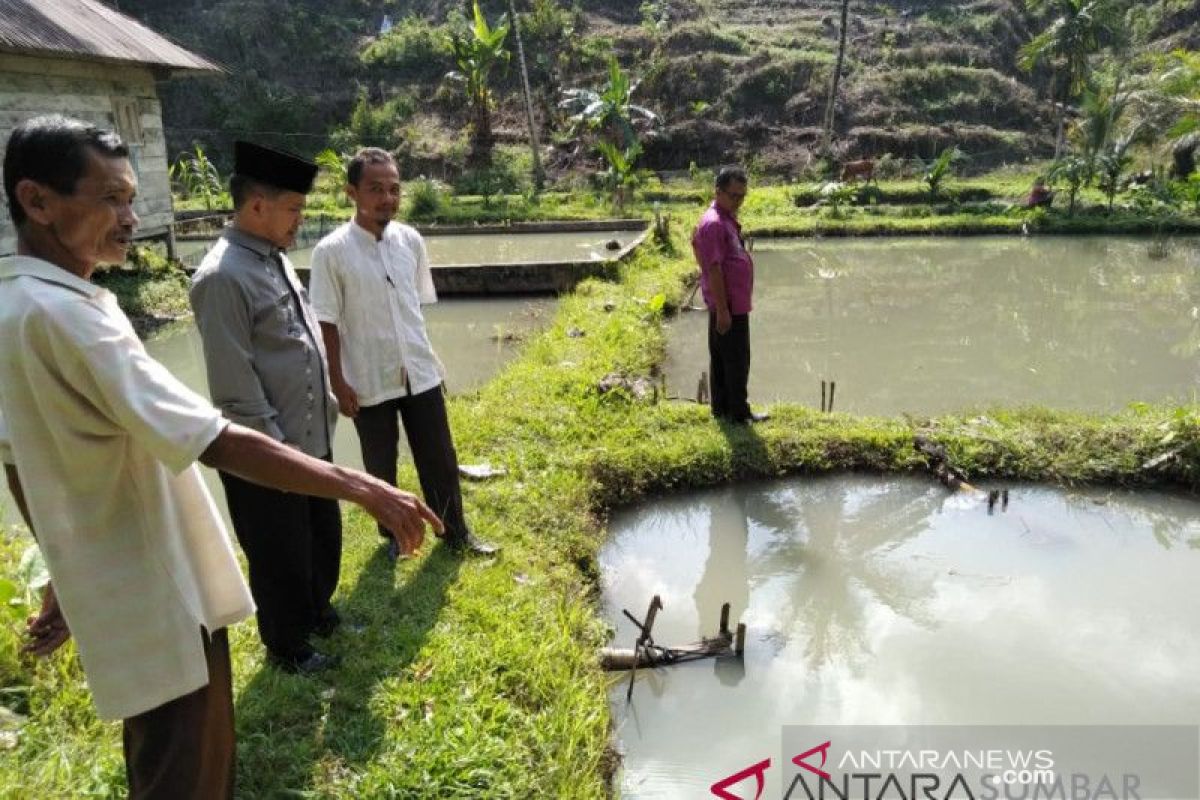 Pemkab Agam bakal patenkan gurami masang