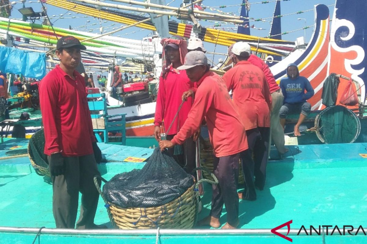 Predator ikan muncul, nelayan Jembrana kembali paceklik