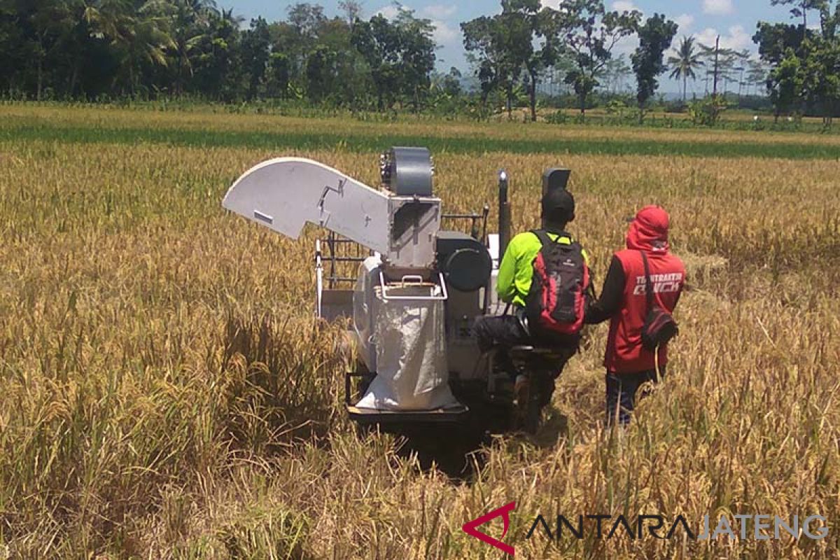 Harga masih tinggi, mitra Bulog Banyumas tunda beli gabah petani