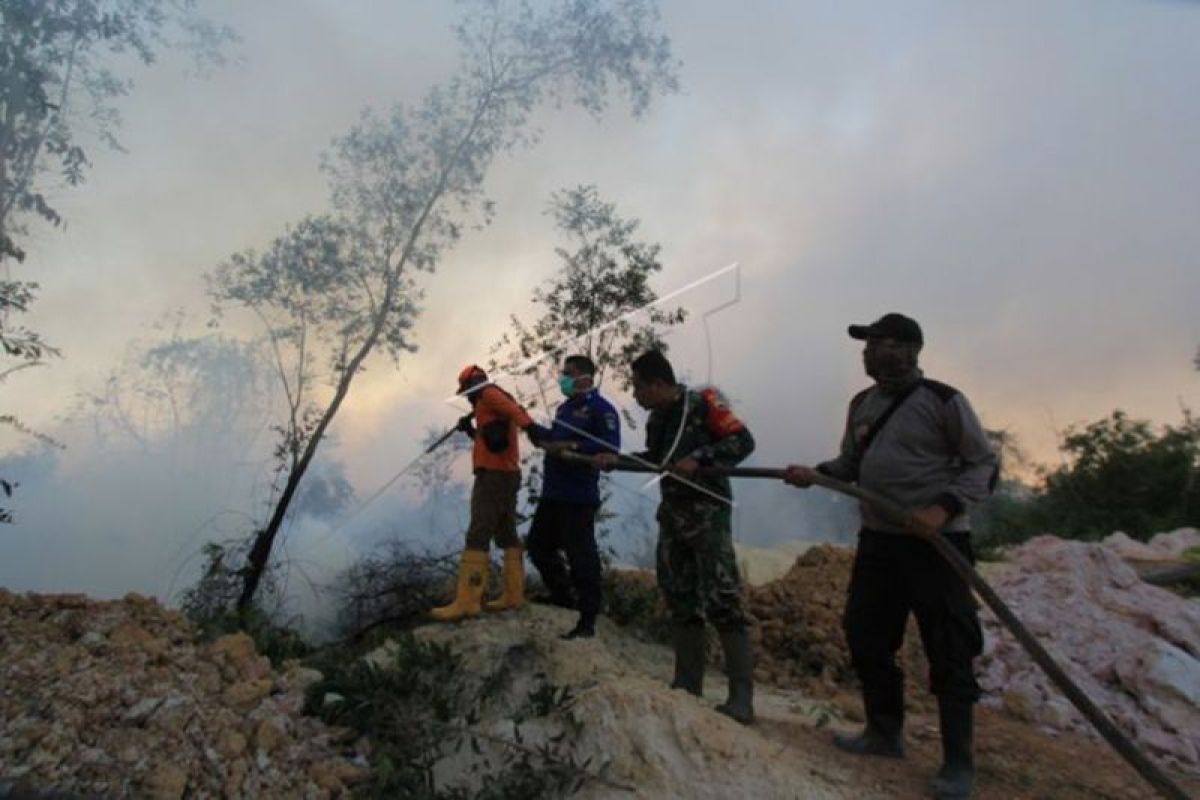 Kebakaran Lahan Riau Terus Meluas Capai 841,71 Hektare