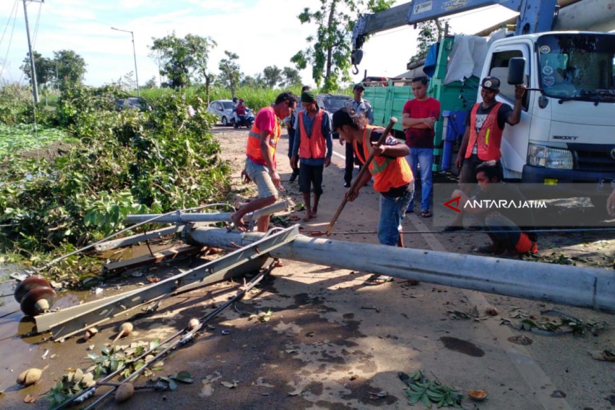 Dampak Angin Kencang, Listrik Ribuan Rumah Warga Jember-Lumajang Masih Padam