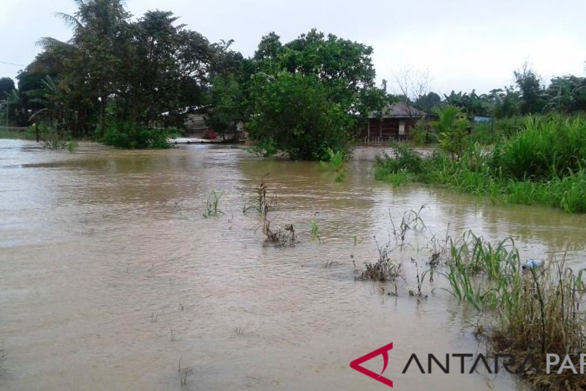 BPBD Papua: dua distrik di Nabire dilanda banjir