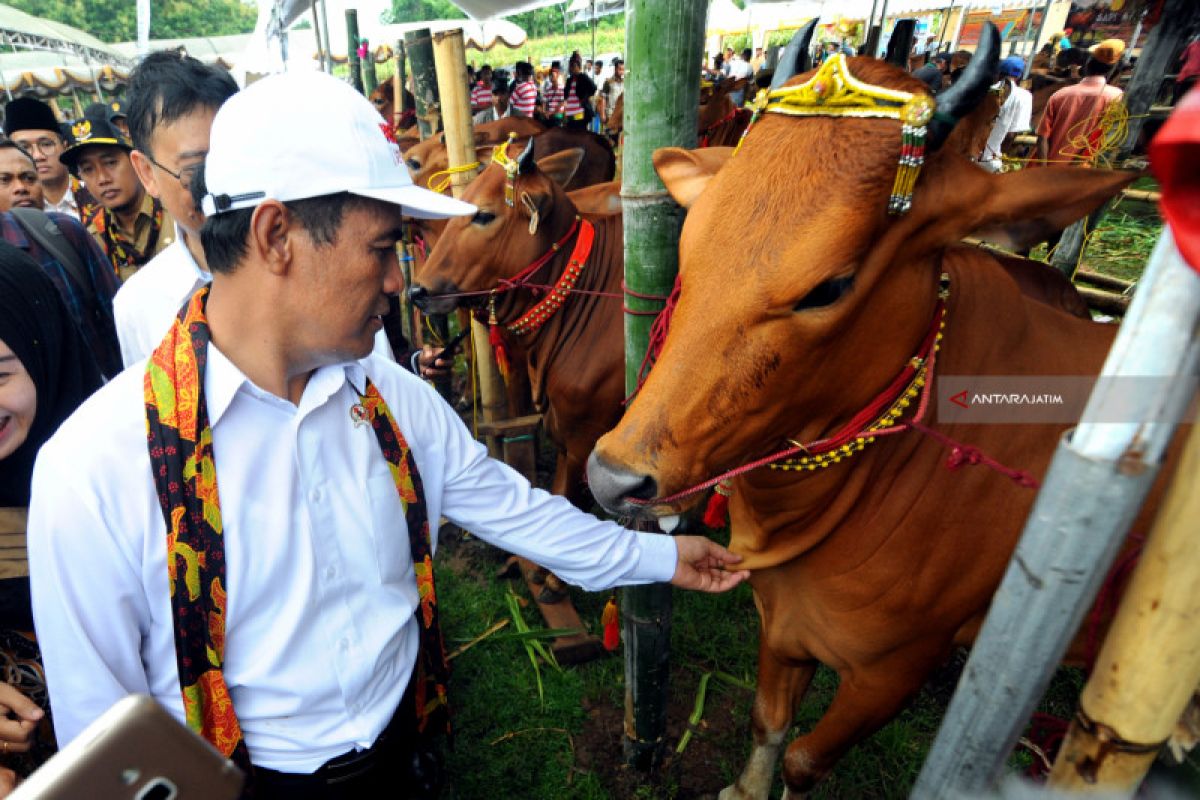 Mentan Tinjau Realisasi Upsus Siwab di Pamekasan