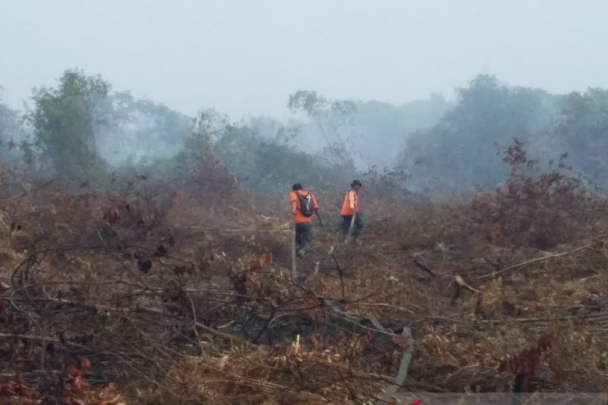 Satgas Gabungan berjibaku padamkan kebakaran hutan-lahan di Riau dan Sumut