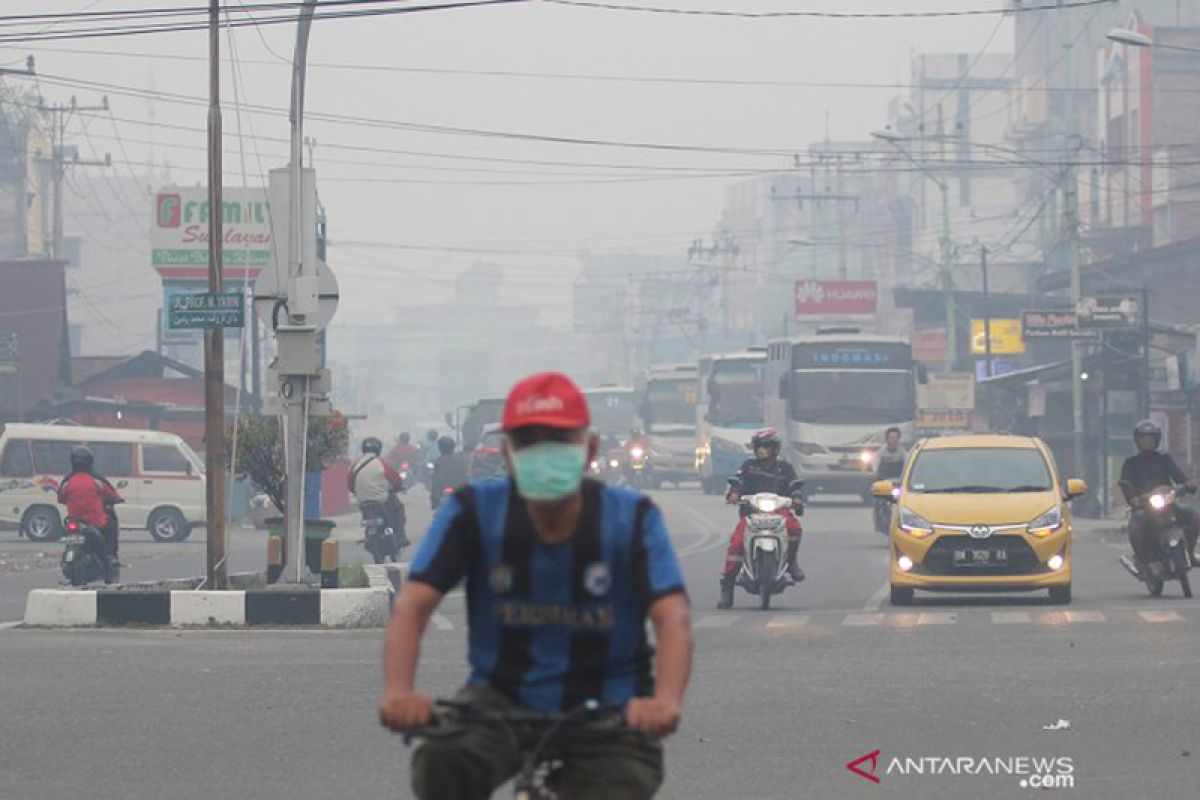 Walhi: Nihil Capres Berikan "Angin Segar" untuk Keadilan Ekologis