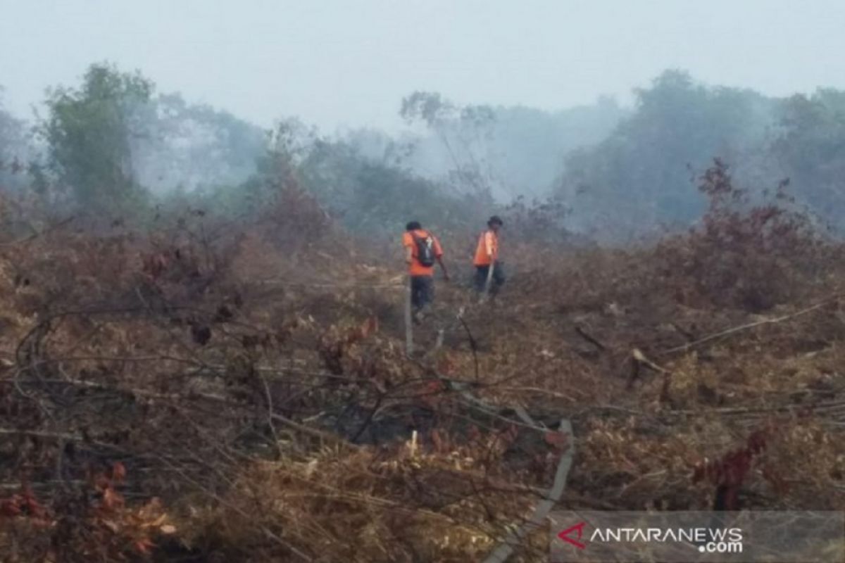 Pemadaman karhutla Riau terus dilakukan