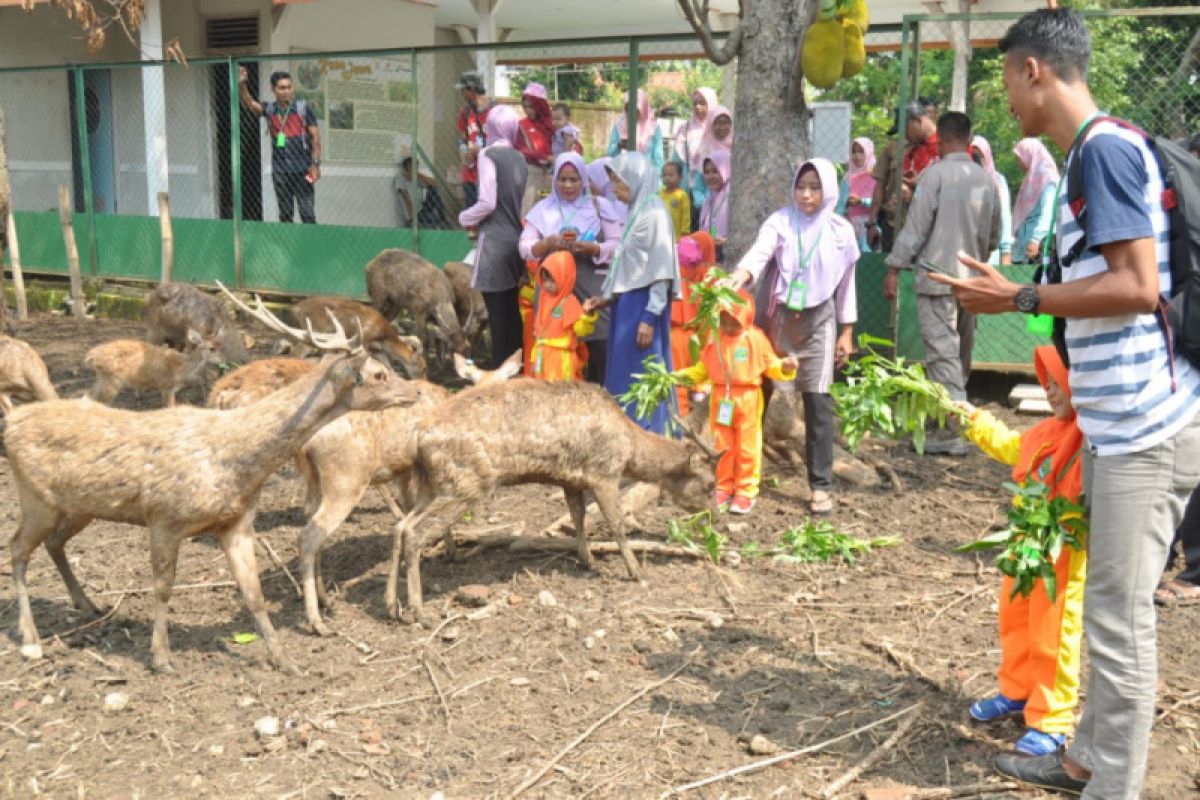 KPH Parengan Tuban Libatkan Masyarakat Beternak Rusa