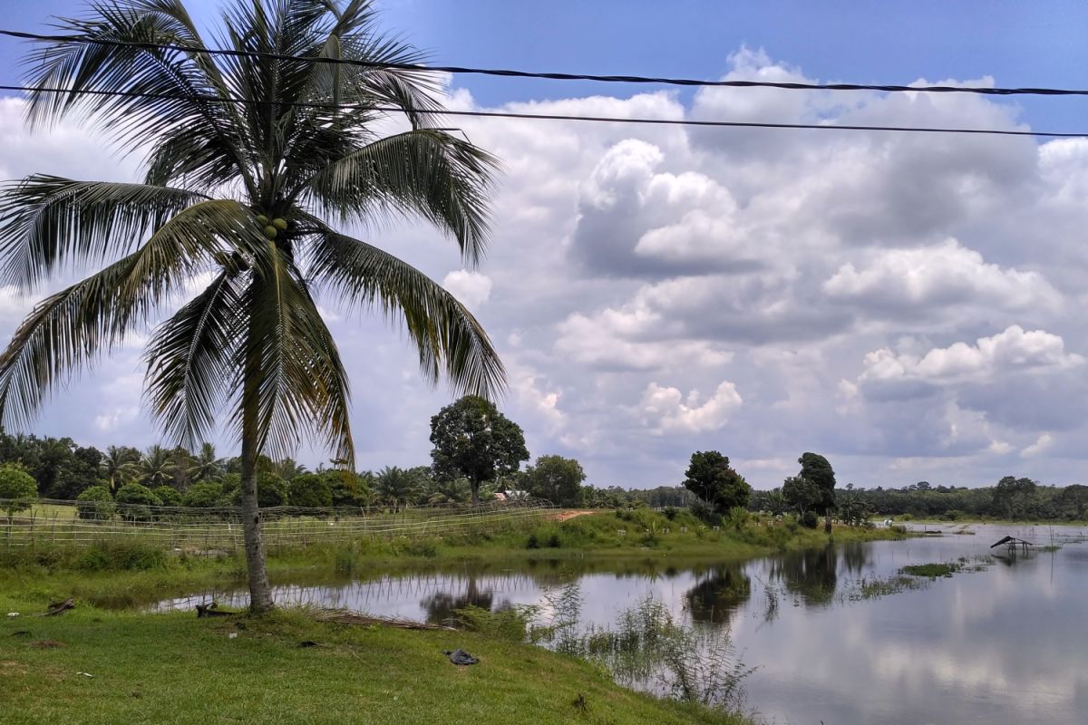 Batanghari Bangun RTH di Talang Umo Tinggal