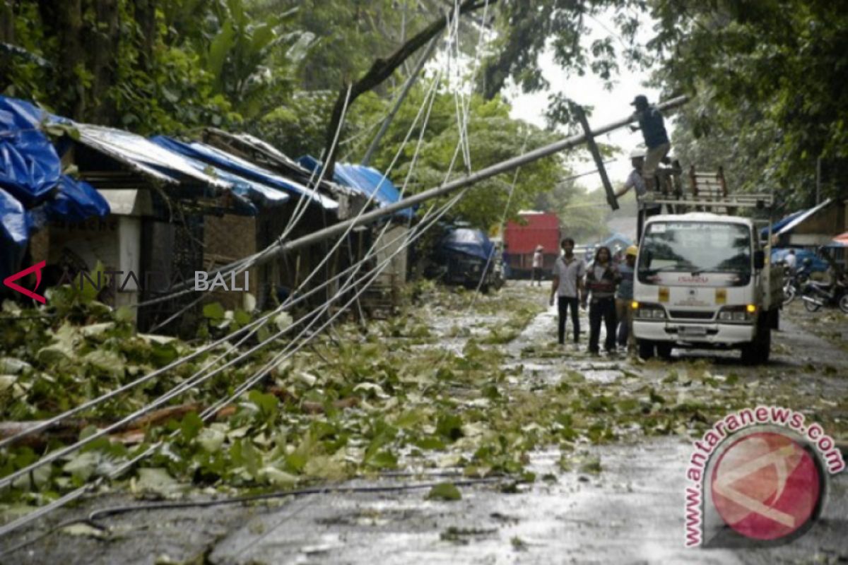 Angin kencang landa 5 kecamatan di Jember