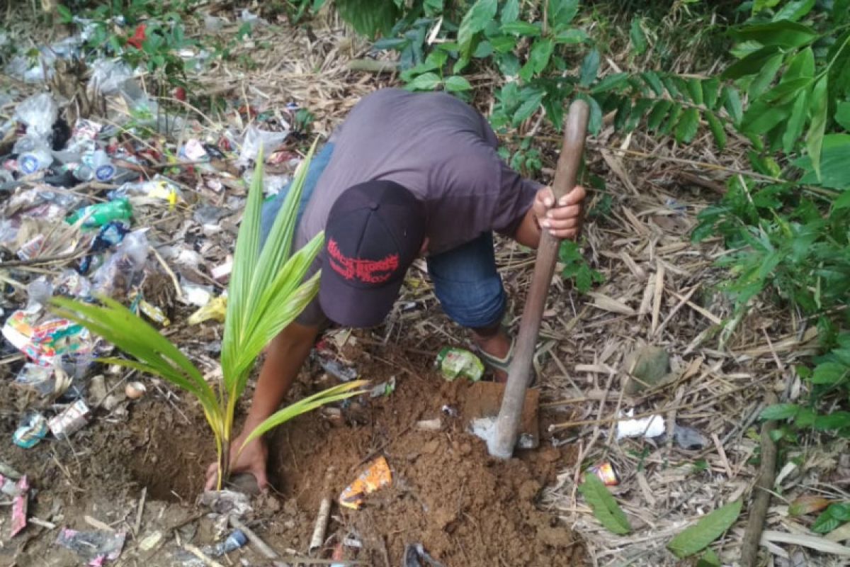 PMI tanam kelapa kopyor di lokasi tsunami Banten