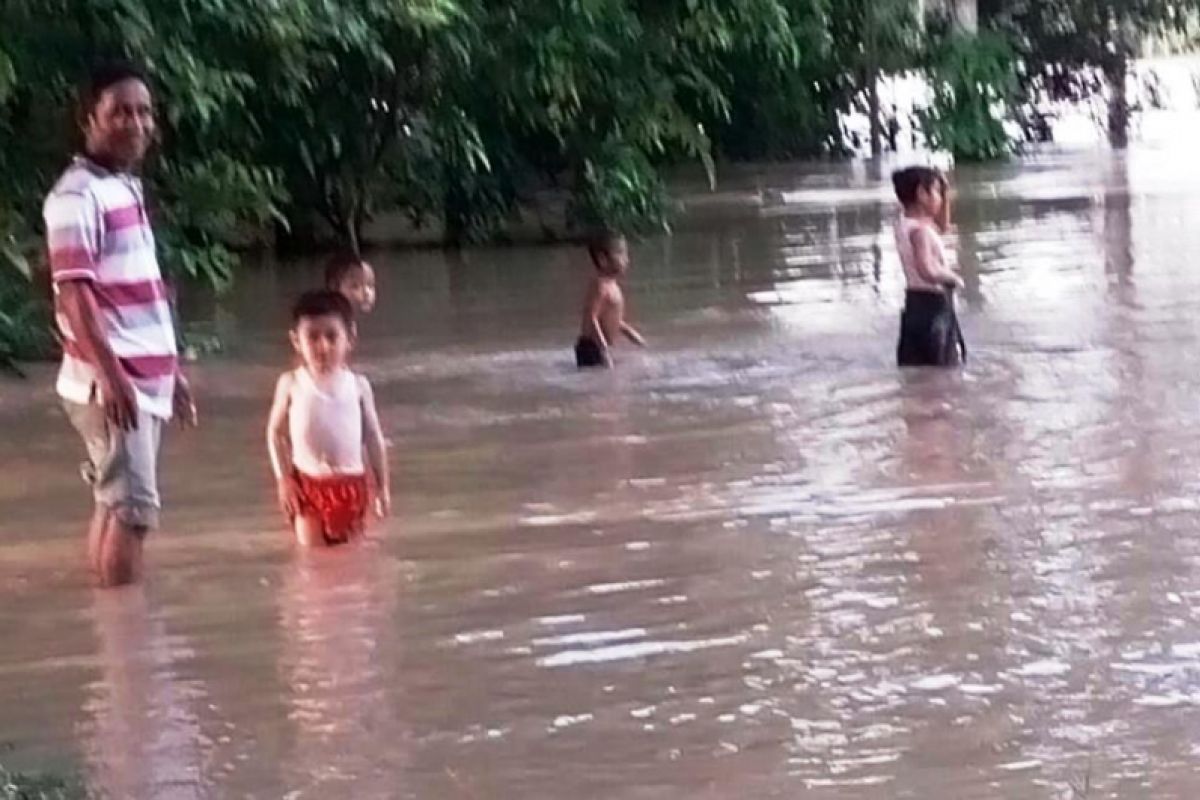 Banjir Sudah Tiga Hari Rendam Puluhan Hektare Sawah di Batanghari Lampung Timur