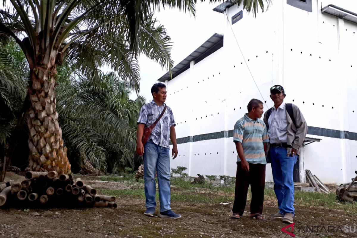 Petani sawit: Tidak benar PT. Mamuang mengkriminalisasi kami