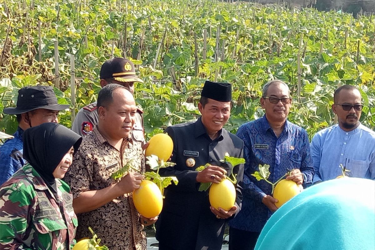 Pemkot Serang Siap Kembangkan 'Golden