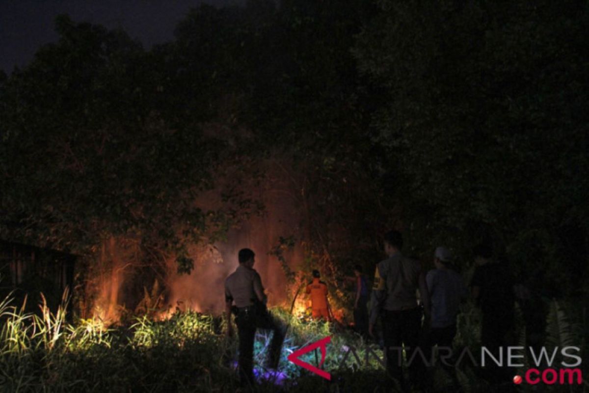 54 titik panas di Riau terdeteksi BMKG