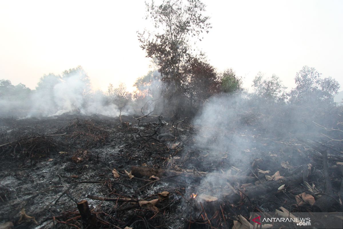 100 soldiers flown to Riau to help fight land, forest fires