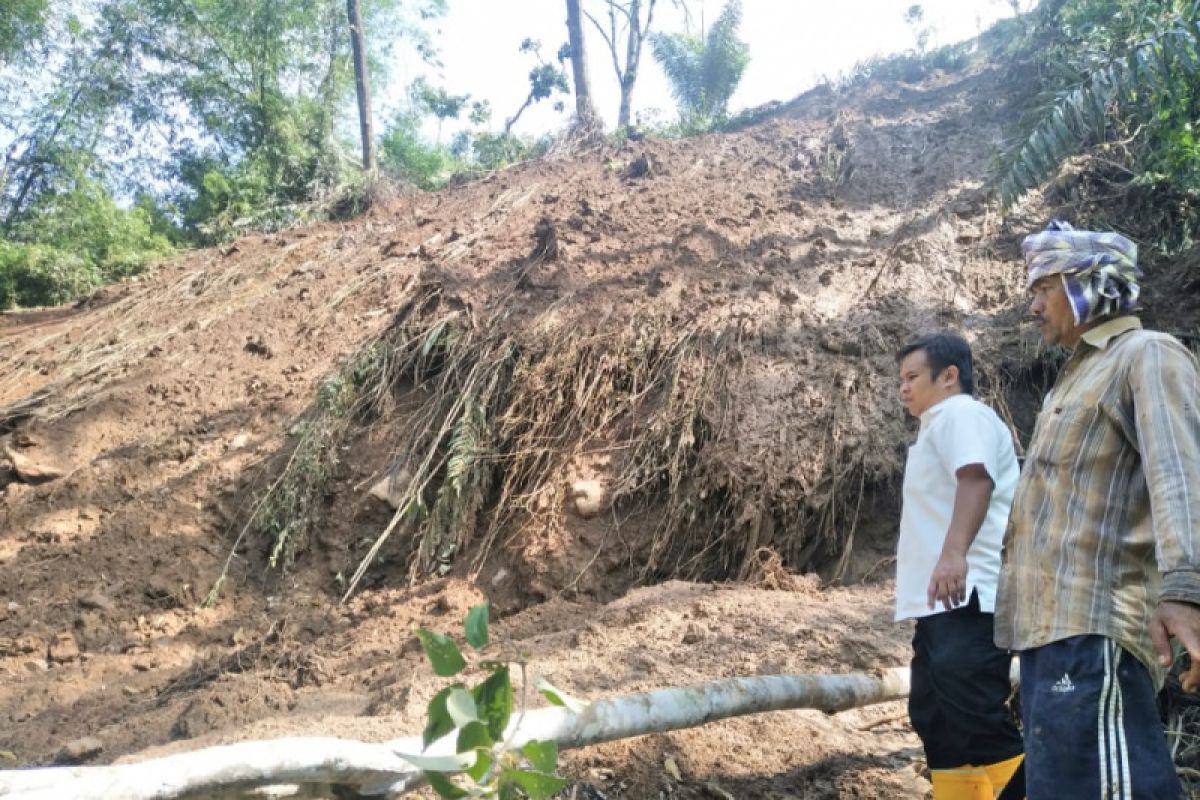 40 hektare persawahan di Agam terancam kekeringan