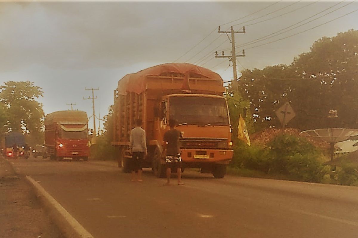 Pengemudi Truk Minta Polisi Berantas Pungli Jalintim Tulangbawang