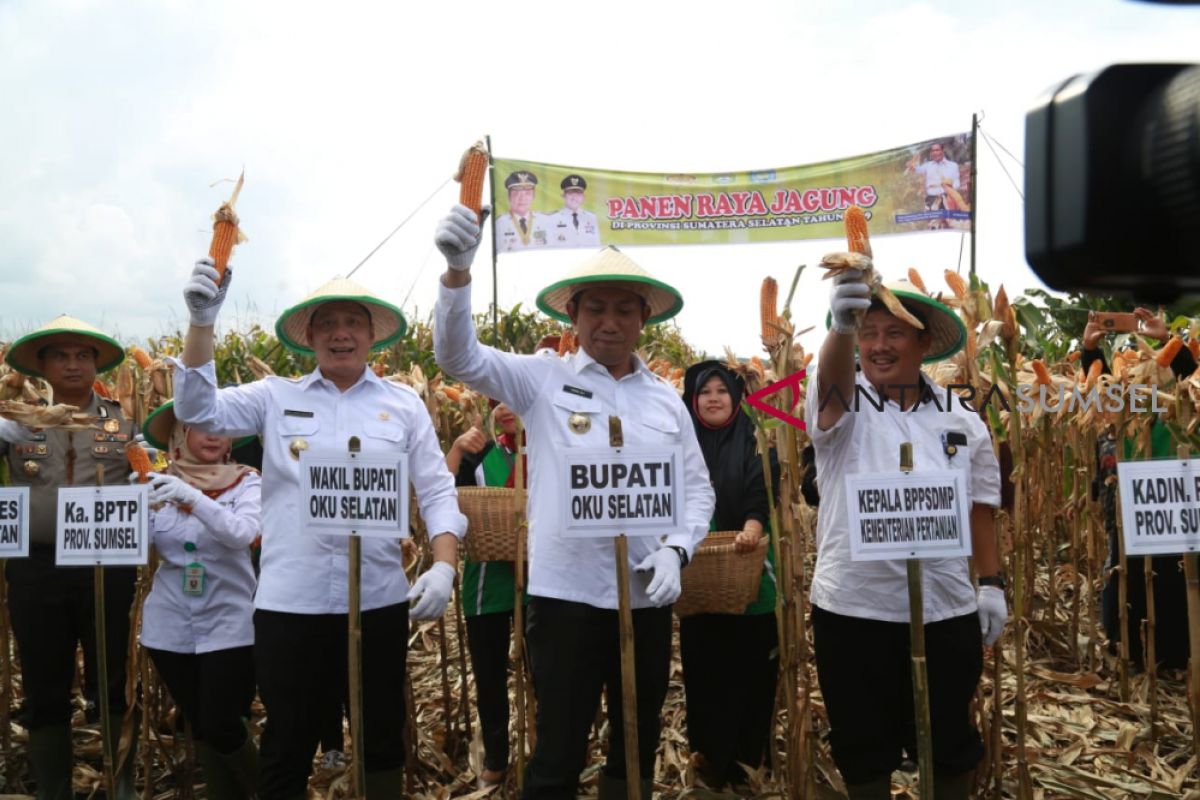 Kementan: OKU Selatan sentra jagung terbesar di Sumsel