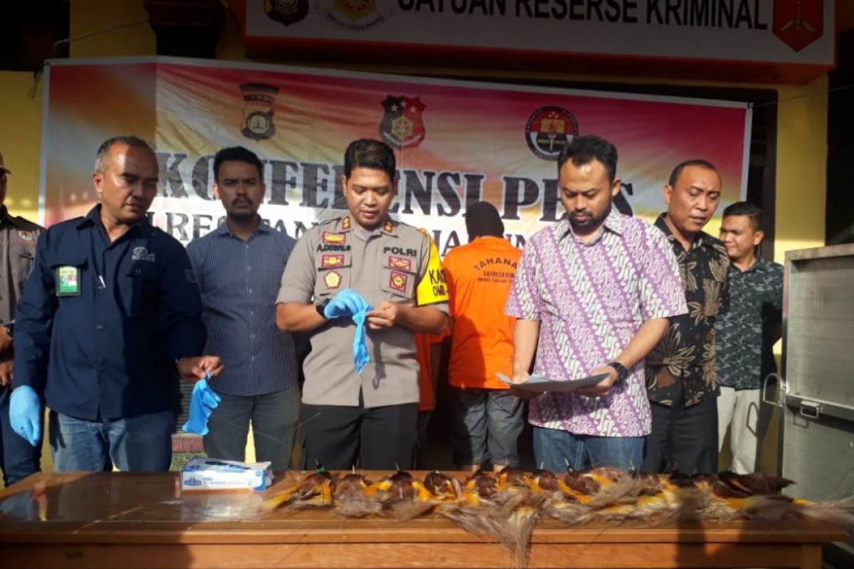 Polres Tanjabtim gagalkan penyelundupan satwa yang diawetkan