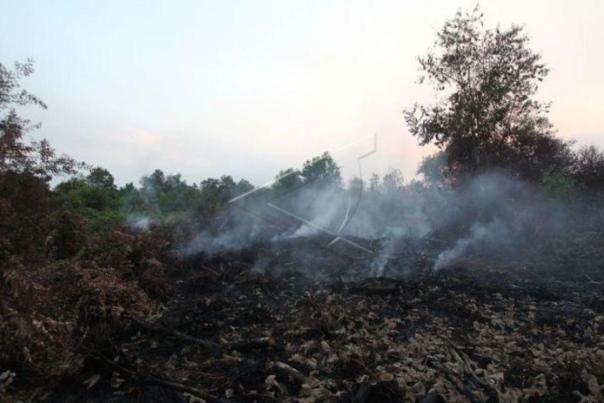 Dua hektare lahan terbakar gegara api rokok
