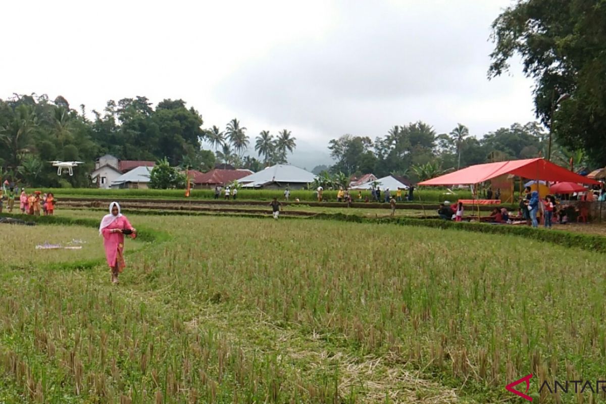 Kubu Gadang gelar peragaan busana tradisional di pematang sawah
