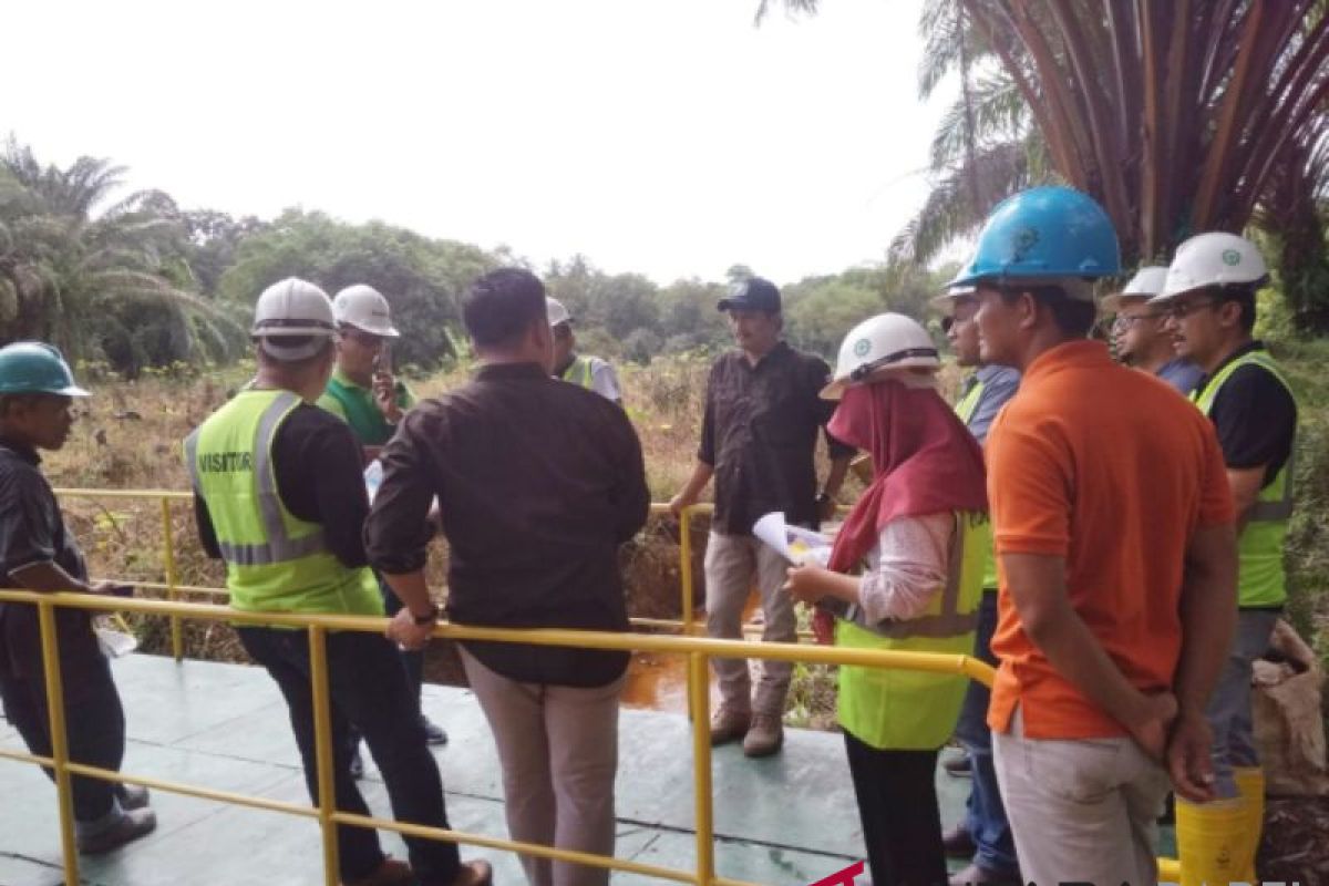 Laskar Hijau tanam 1.000 pohon pelawan di waduk Unmet Muntok