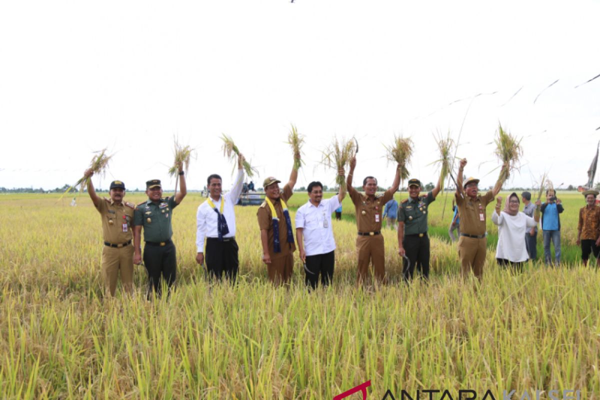 Mentan semangati petani Desa Tambak Sarinah