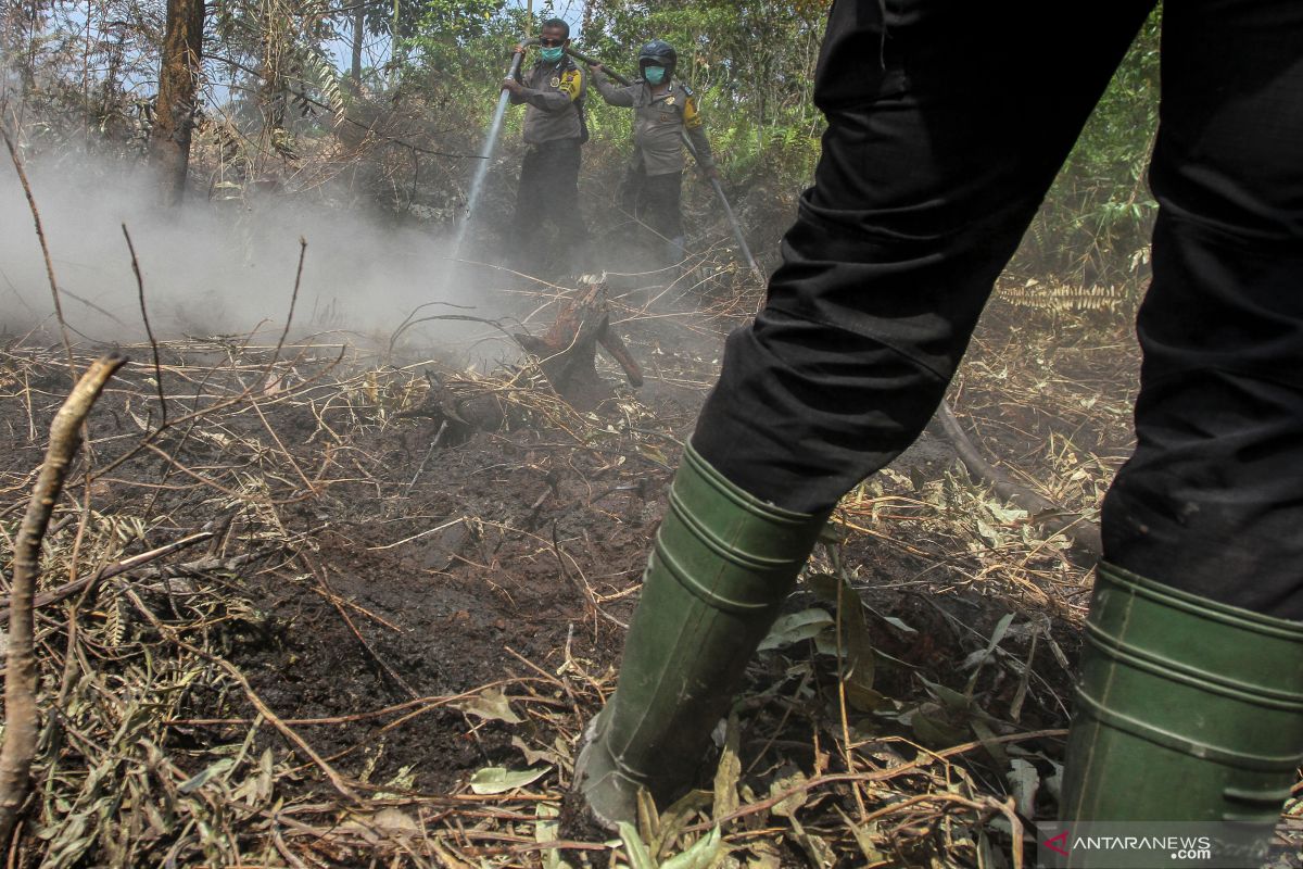 Api yang membakar lahan gambut Nagan Raya 80 persen sudah dipadamkan