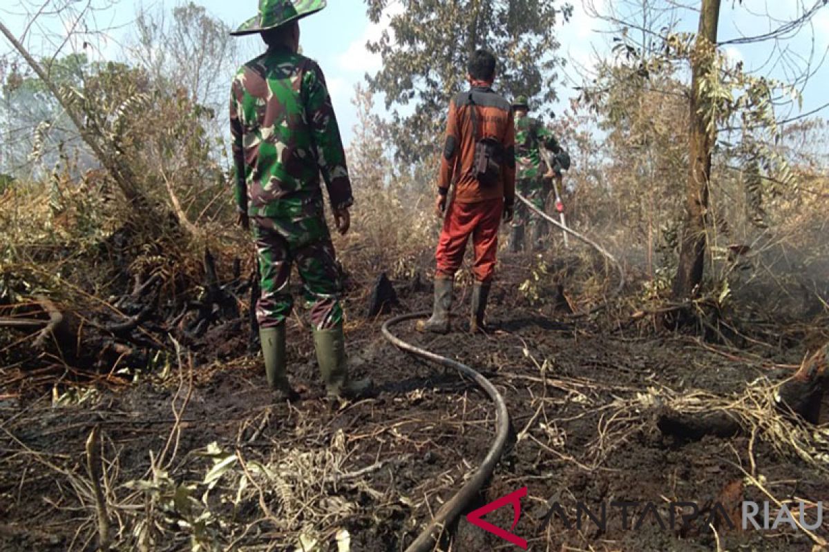 Tim Gabungan Berusaha Padamkan Kebakaran Lahan di Pekanbaru