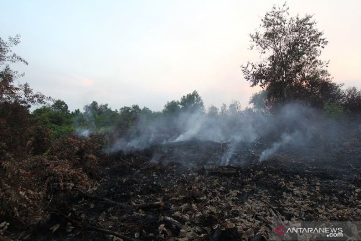 Masyarakat Rupat mulai terserang penyakit akibat kabut asap karhutla