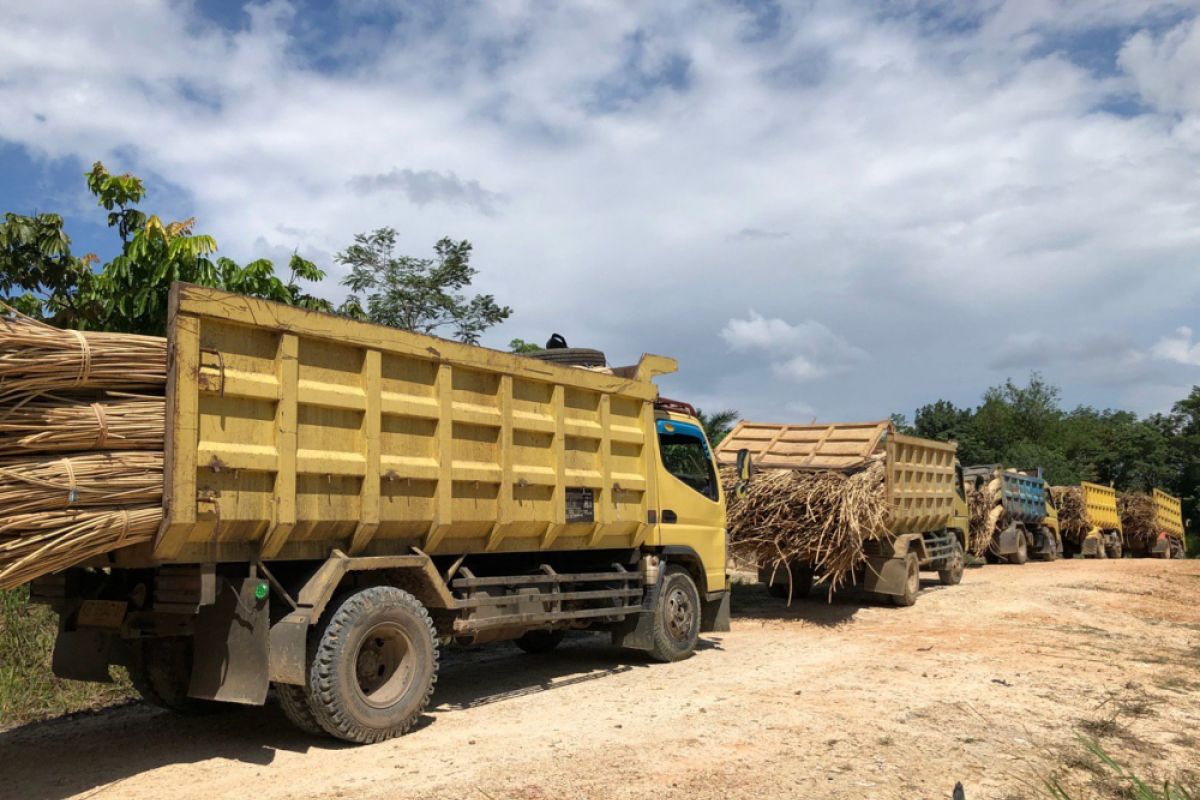 Satgas Pamtas gagalkan penyeludupan 20 ton rotan dan TKI ilegal