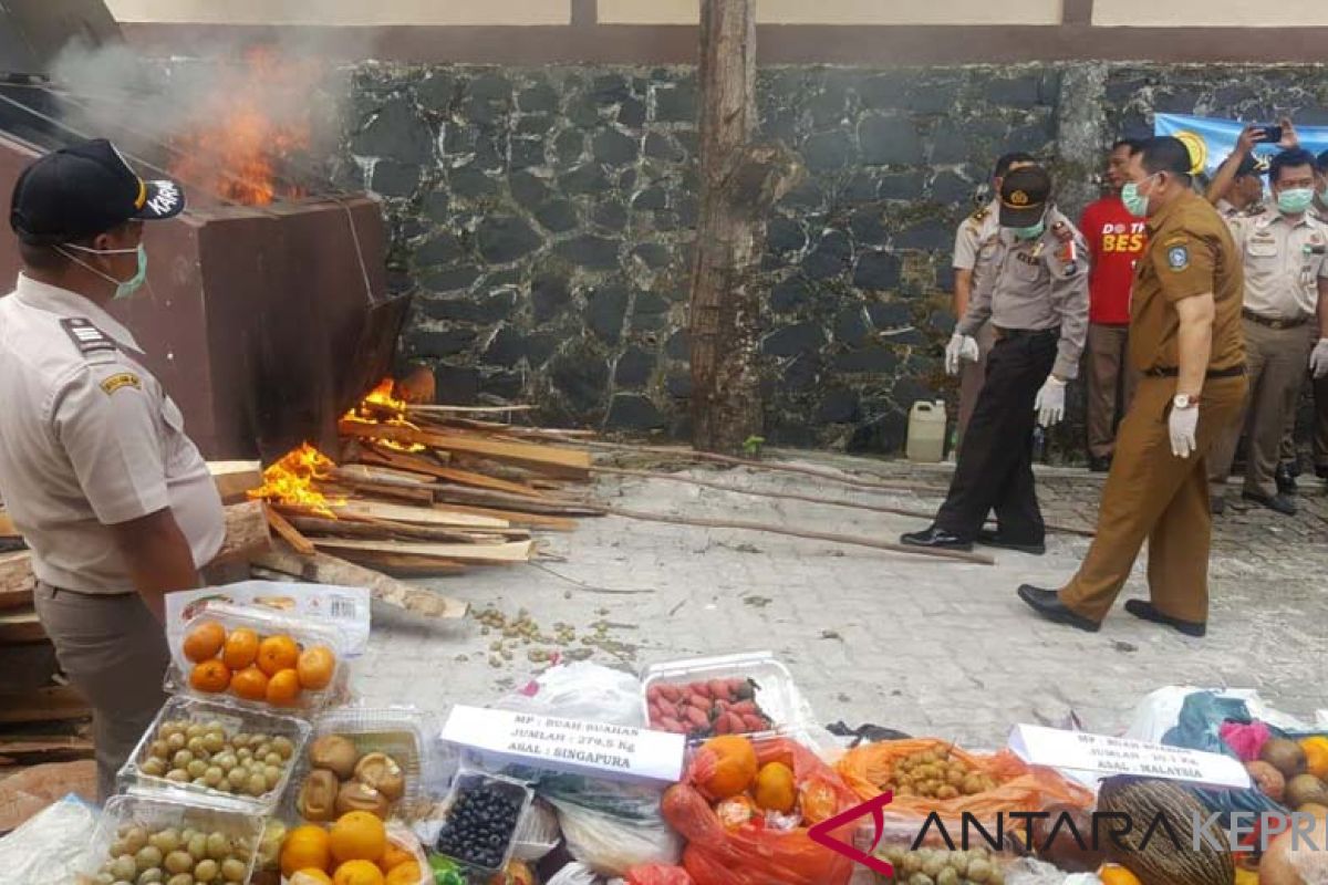 Balai Karantina Tanjungpinang musnahkan media pembawa hama