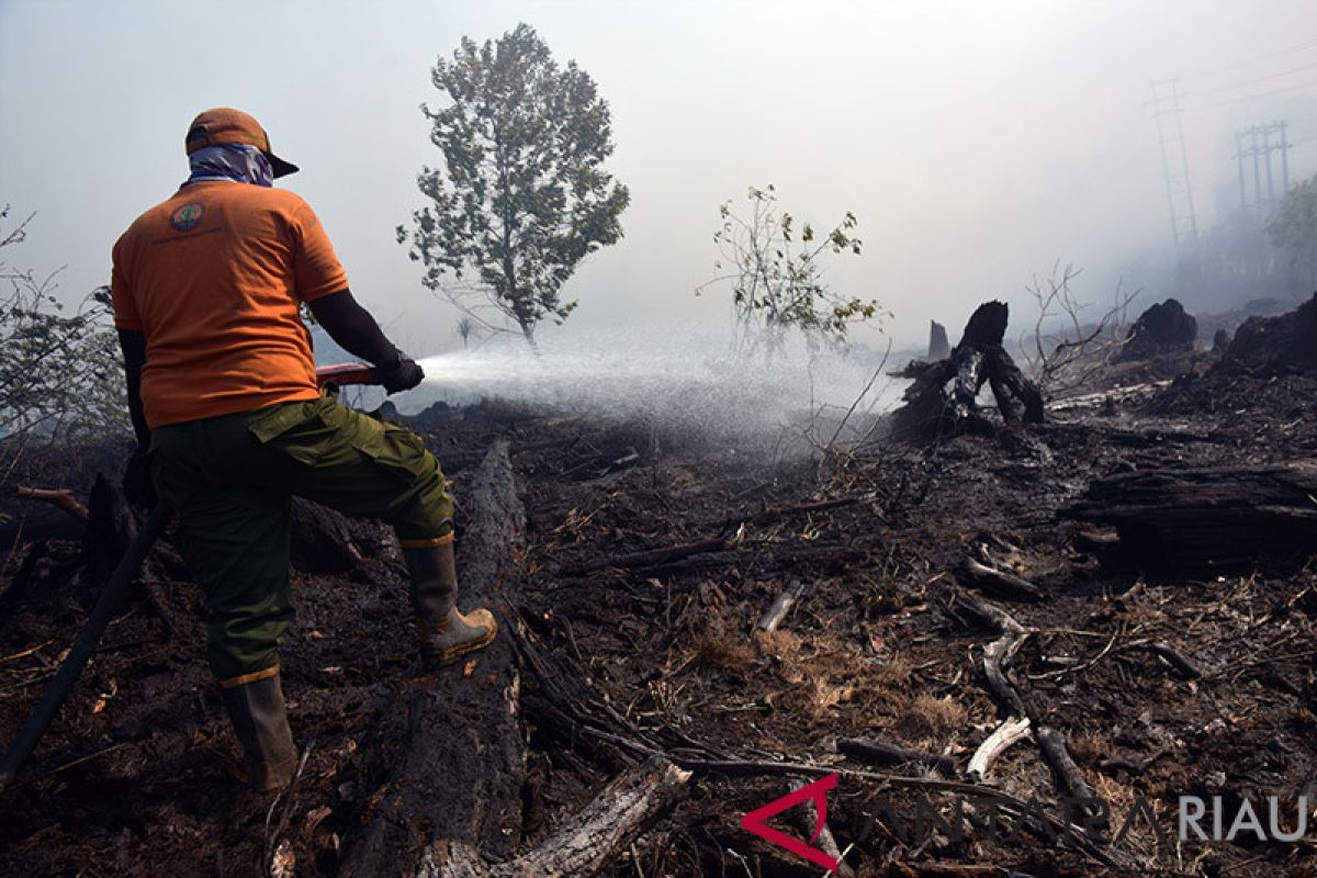 Kebakaran Lahan Bermunculan di Dumai, termasuk di Lahan Konsesi Chevron