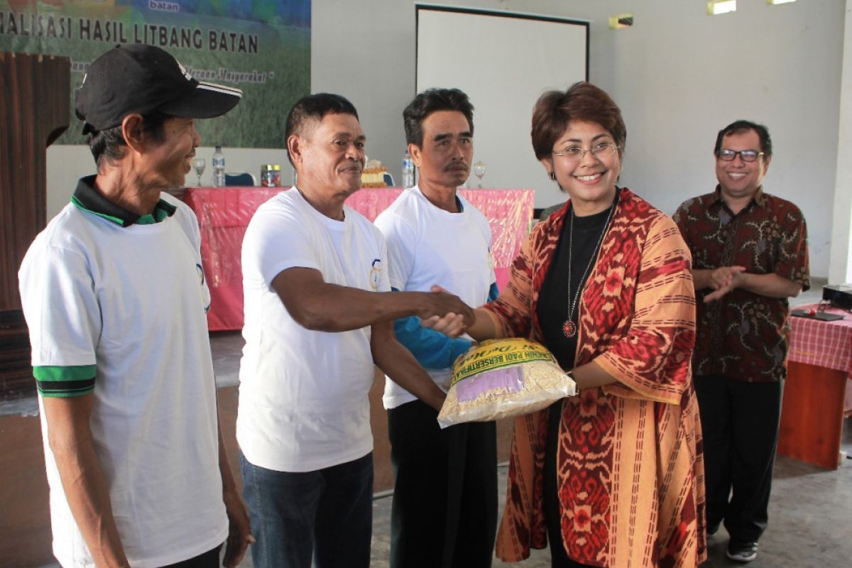 Mercy Barends serahkan 500 kg padi hasil teknologi nuklir