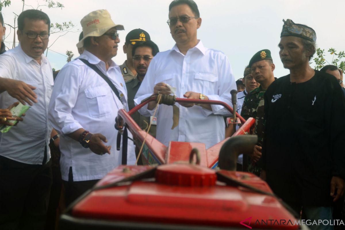 Penyuluh dan petani diminta kerja keras wujudkan Indonesia lumbung pangan dunia