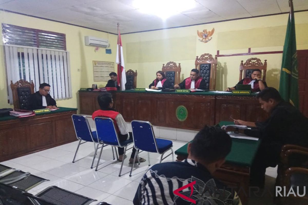 Hakim Vonis 3 Tahun Penjara Pembunuh 3 Harimau Sumatera di Kuansing