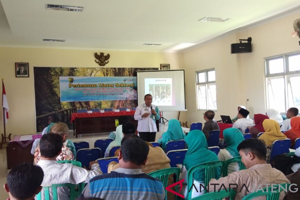 Perlu peran lintas sektoral turunkan angka kematian ibu hamil