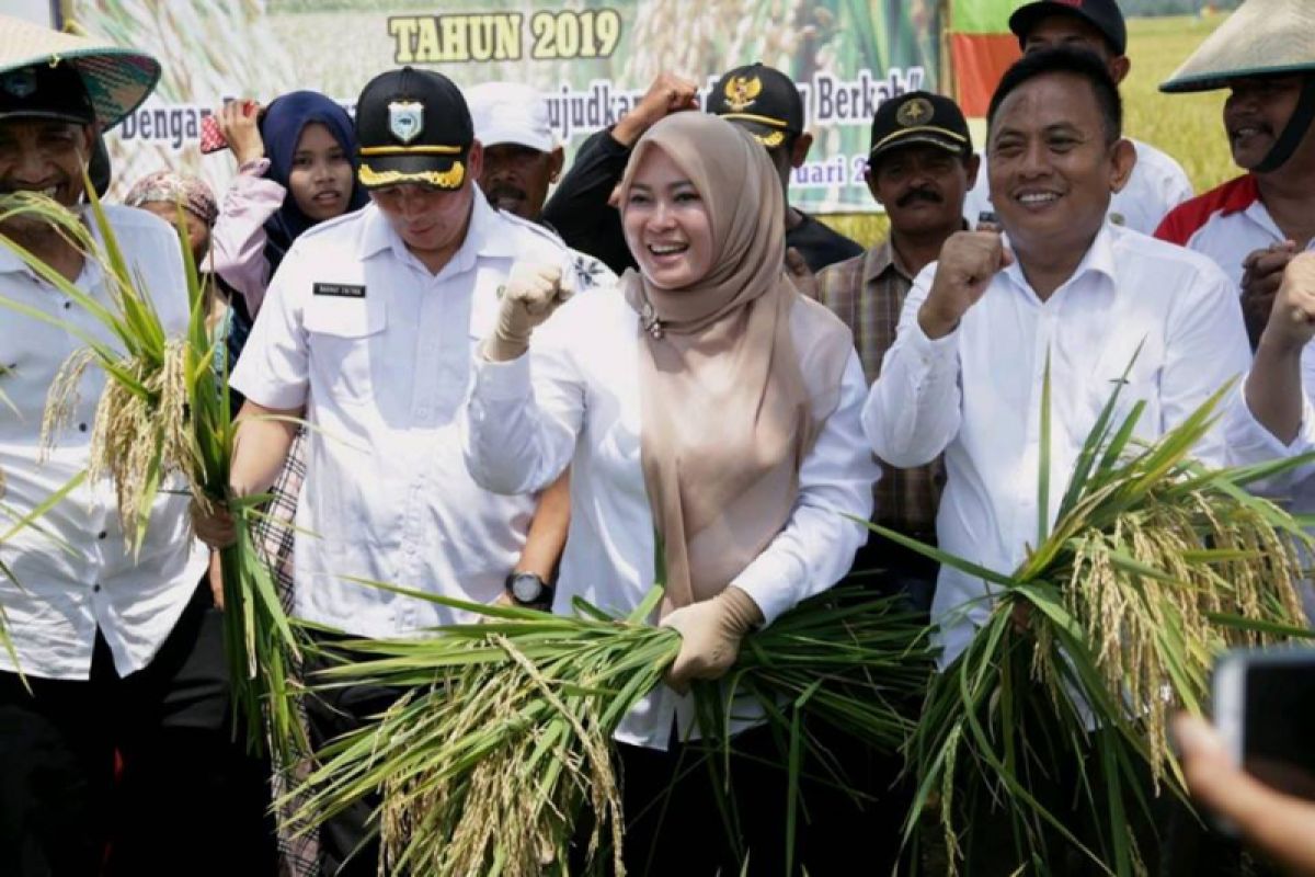 Bupati Pandeglang Wujudkan Target Sentra Pangan