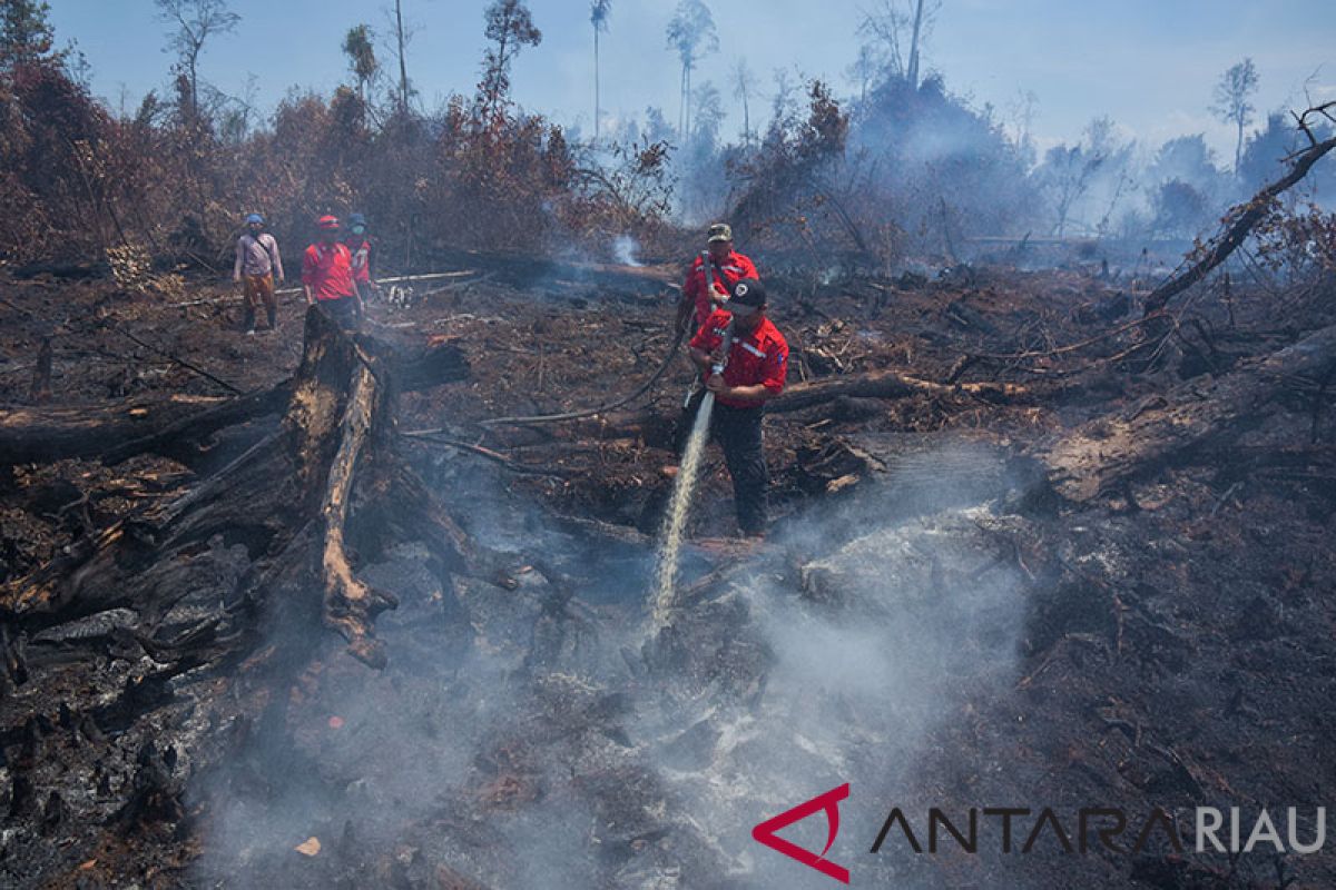 CIFOR: perusahaan lebih baik lepaskan konsesi yang sebabkan karhutla. Ini alasannya