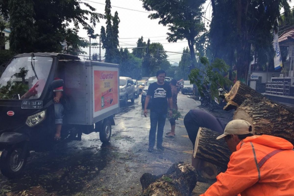 Angin Kencang di Kediri Tumbangkan Pohon dan Rusak Sejumlah Bangunan