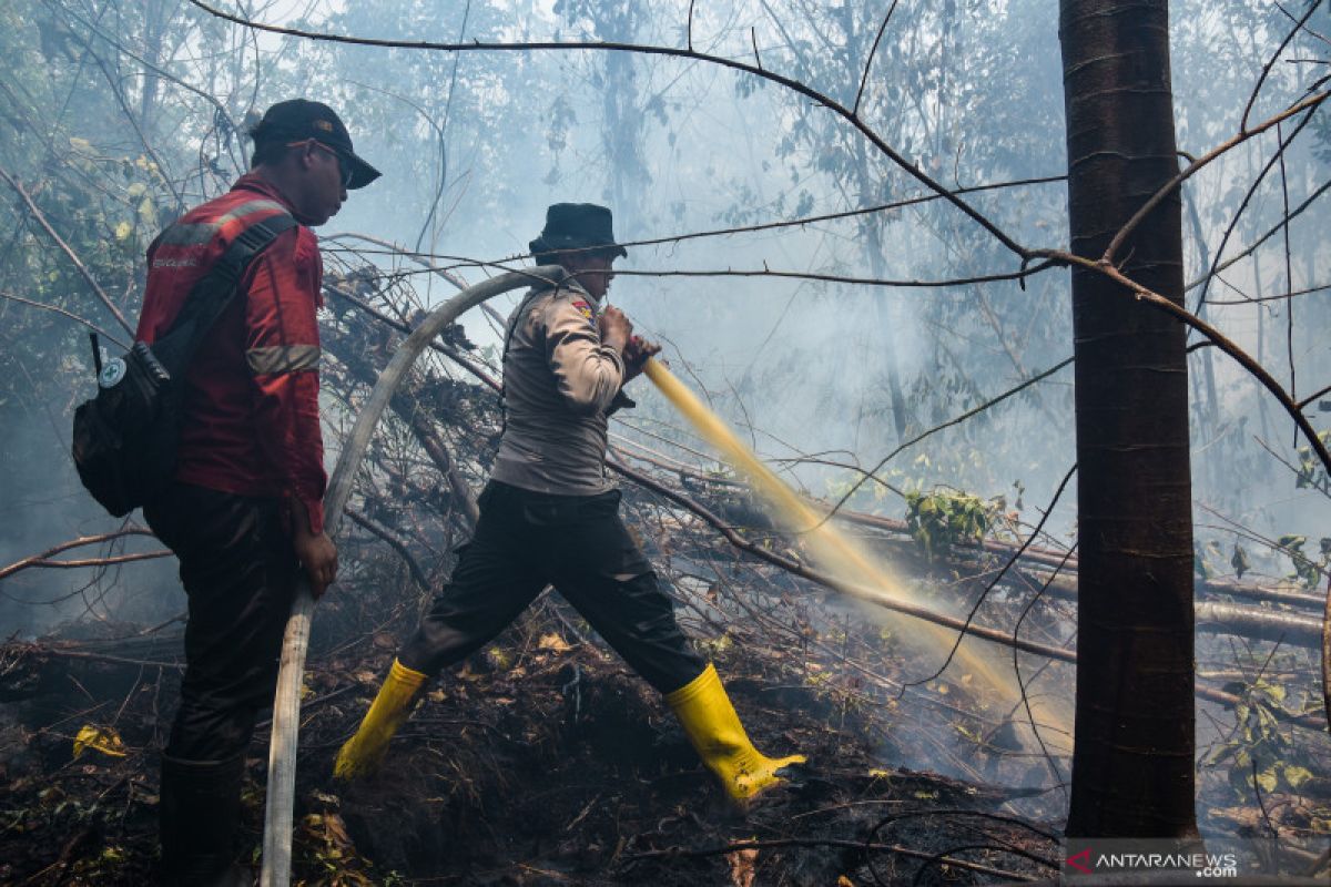 20 kebakaran hutan dan lahan terjadi di Bengkalis, Riau selama Mei